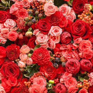 d_flower-31