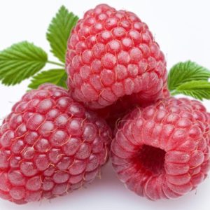 d_fruit-29