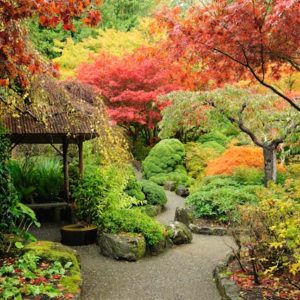 sh_nature-89